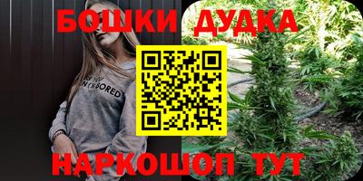 спиды Ставрополь