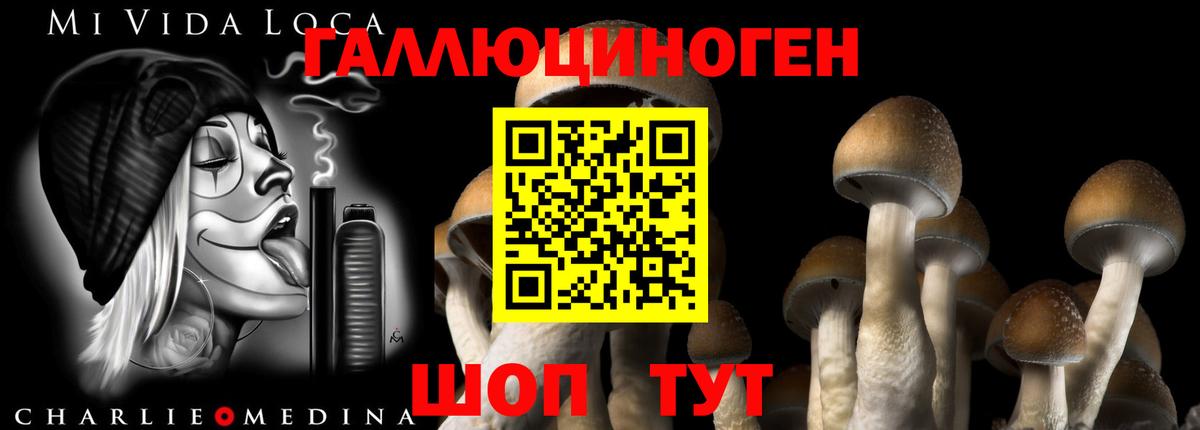 Псилоцибиновые грибы мухоморы  Галлюциногенные грибы Psilocybine cubensis  Вход с VPN  Протвино 
